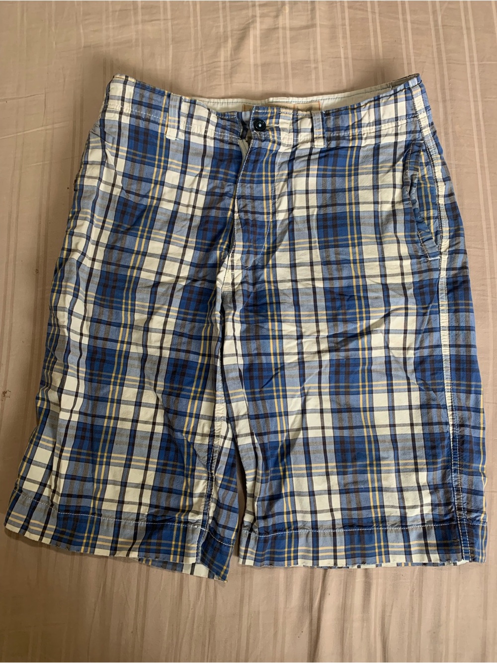 Vintage American Eagle Outfitters Blue and White Plaid Flat Front Shorts